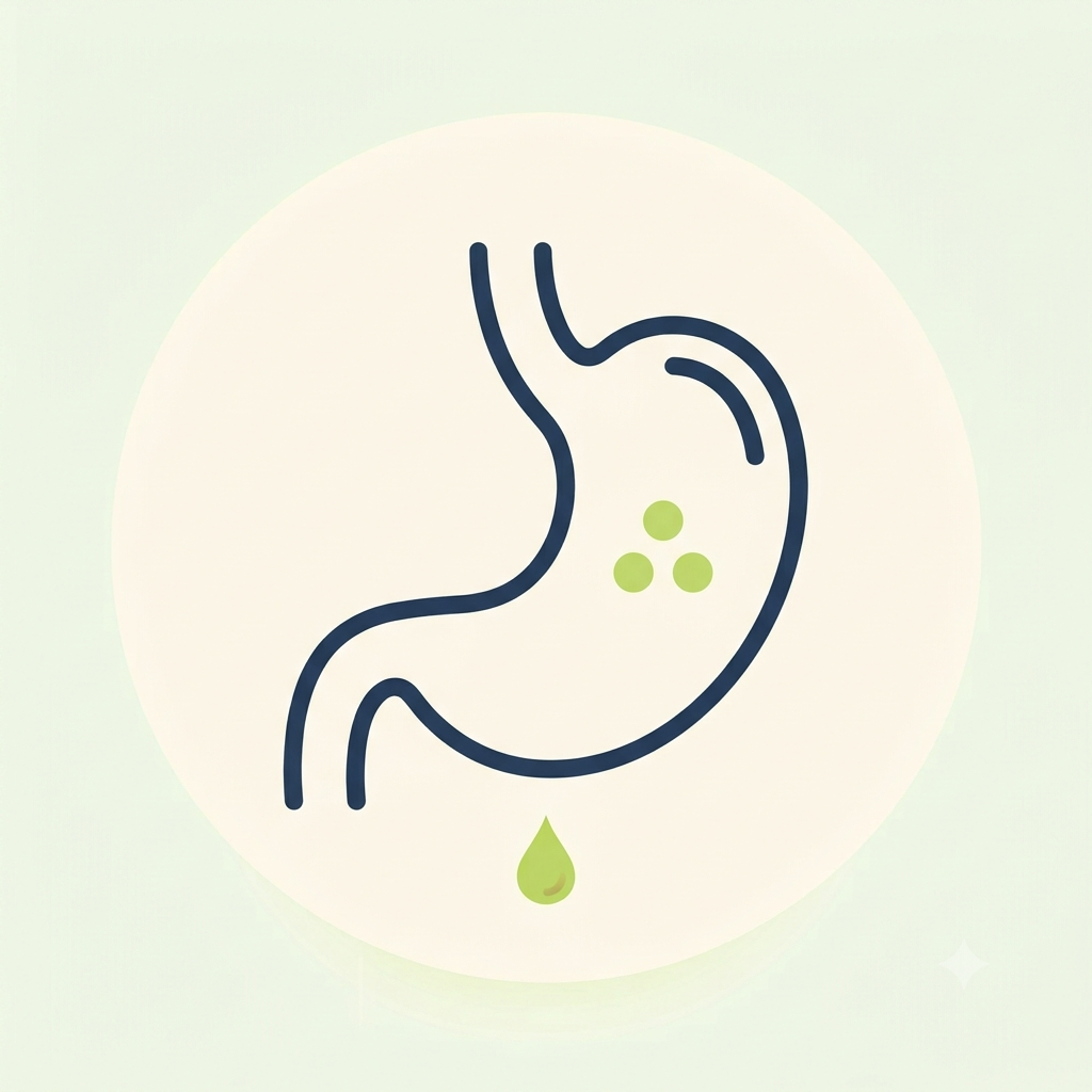 Gut